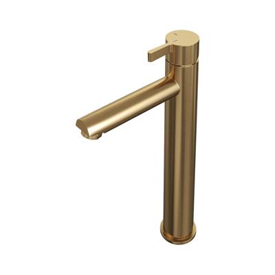 Brauer Gold - Edition Wastafelmengkraan opbouw - hoog - model E PVD - geborsteld goud 5-GG-002-HD1