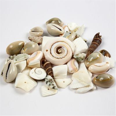 https://www.cchobby.nl/strand-schelpen-kralen-afm-9-40-mm-gatgrootte-1-1-5-mm-120-gr-1-doos
