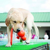 Kong Wet Wubba Hondenspeelgoed, met neopreen, drijvend, 40 cm - thumbnail