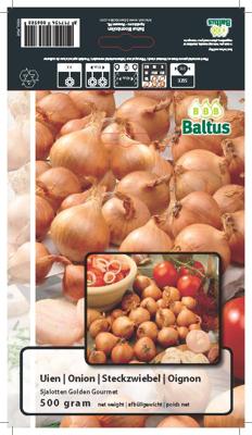 Zomer Bloembollen Uien Sjalotten Golden Gourmet (per 500 gram) Baltus - Baltus
