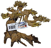 Bonsai Driftwood M aquaria SuperFish - Superfish - thumbnail