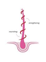 Khadi Ayurvedic hair oil rose repair 50 Milliliter - thumbnail