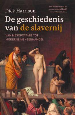 De geschiedenis van de slavernij (Paperback)