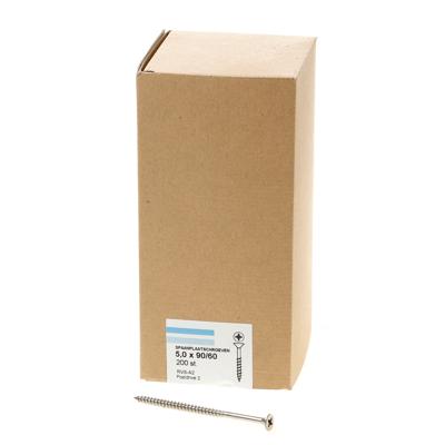 Spaanpl.schr.rvs pk pz2 5.0X90/60 dd