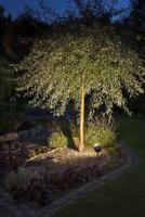 Konstsmide 7529-750 Lecce LED-tuinspot Energielabel: G (A - G) LED 4 W Zwart - thumbnail