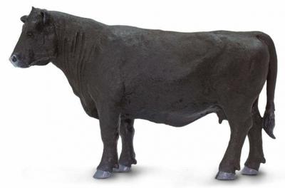 Safari boerderij Angus Cow junior 12 cm zwart Safari boerderij Angus Cow junior 12 cm zwart