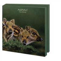 Kaartenmapje Animals, Hans Bulder 10 Stuks met Enveloppen - thumbnail