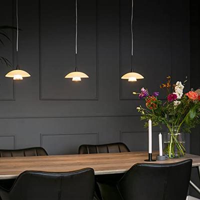 Steinhauer Moderne hanglampTallerken Ø 18cm - 2655ZW