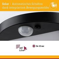 Paulmann Staande solar lampRyse met sensor - 94249 - thumbnail