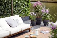 Bloempot Elho Plastic Cirkelvormig - thumbnail