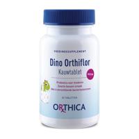 Dino Orthiflor - thumbnail