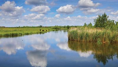 Water wolk 130x70cm Tuinschilderij Customize-it - Customize it