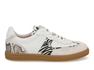 Floris van Bommel Minni 06.00 white Wit maat 40 Floris van Bommel Minni 06.00 white Wit maat 40