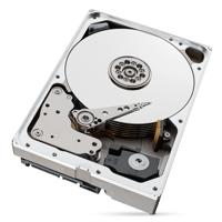 Seagate HDD NAS 3.5 10TB ST10000NT001 Ironwolf Pro - thumbnail