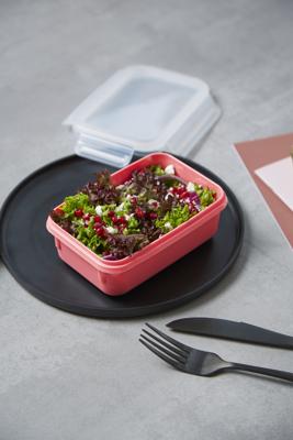 Tefal masterseal voorraaddozenset roze