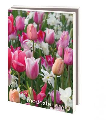 Kaartenmapje 10 stuks met enveloppen - Modeste Herwig
