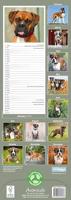 Boxer Kalender 2026 Slimline - thumbnail