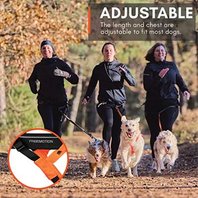 Non-stop dogwear® Trektuig Freemotion Harness 5.0, black/orange, Maat: 5