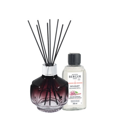 Maison Berger Geurstokjes Molecule Prune - Underneath the Magnolias - 200 ml