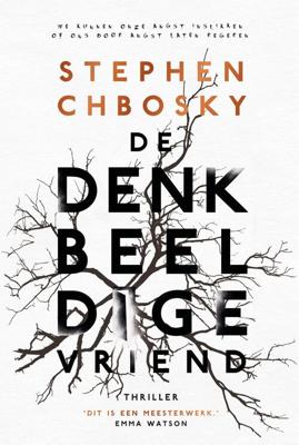 De denkbeeldige vriend - Stephen Chbosky - ebook