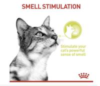 Royal Canin Sensory Smell natvoer kat (in saus) 1 doos (12 x 85 g) - thumbnail