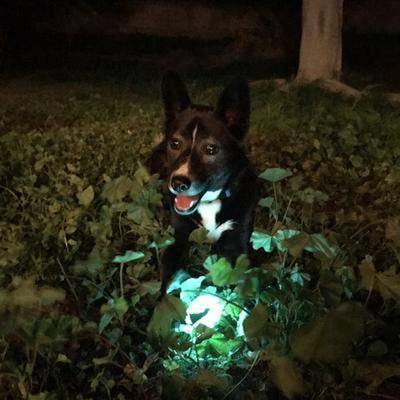 Chuckit! Max Glow S