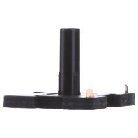 GIRA 099500 Neonlamp Inzetstuk Standaard 55, E2, Event Clear, Event, Event Opaque, Esprit, ClassiX, System 55 Meerdere kleuren 1 stuk(s)