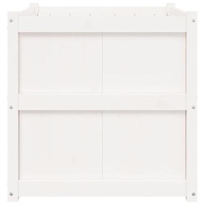 Plantenbak 70x70x70 cm massief grenenhout wit