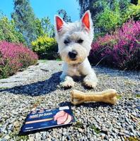 SYTA MICHA For picky dogs Rabbit with banana - hondenkluif - 13,5 cm - thumbnail