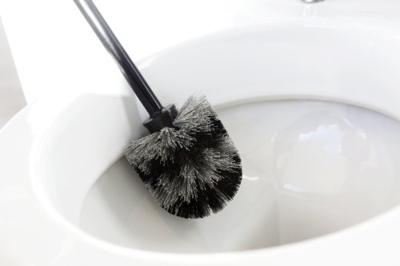 Brabantia toiletborstel met houder profile matt steel