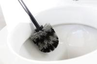 Brabantia toiletborstel met houder profile matt steel - thumbnail