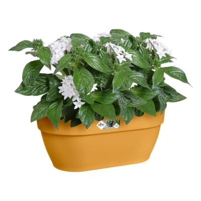 Elho Vibia Campana wall basket wandbak 35 cm honinggeel - thumbnail