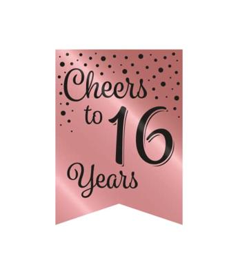 Vlaggetjesslinger roze/zwart - 16 Vlaggetjesslinger roze/zwart - 16