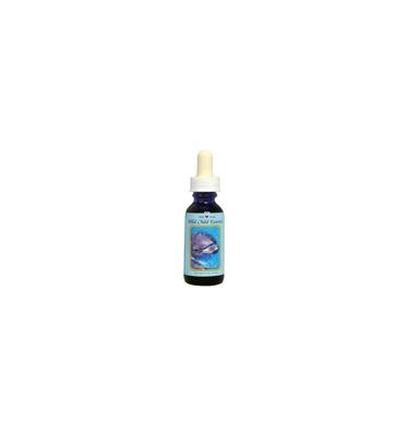 Animal Essences Dolphin calf (dolfijnenkalf) 30 Milliliter