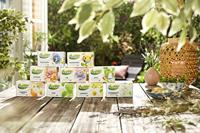 Pickwick super blends shine 1,5gr (4x 15 stuks) - thumbnail