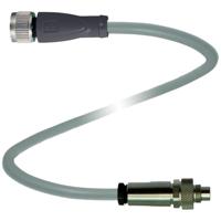 Pepperl+Fuchs 222481 Sensor/actuator connector, geassembleerd Aantal polen (sensoren): 5, 5 0.1 m 1 stuk(s) - thumbnail