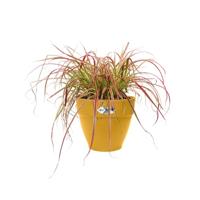 Elho Vibia Campana bloempot rond 35 cm honinggeel - thumbnail