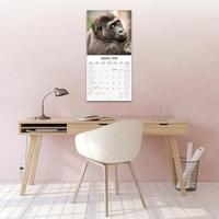 Apen Kalender 2026 - thumbnail