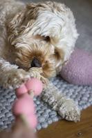 Rosewood tough twist rubber met touw bbq smaak - thumbnail