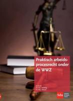Praktisch arbeidsprocesrecht onder de WWZ - P.G. Vestering, W.J.J. Wetzels - Paperback (9789012395724) - thumbnail