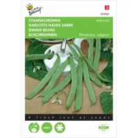 Zaden Stamsnijbonen Admires Buzzy - Buzzy - thumbnail