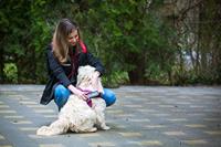 Julius-K9 16IDC-0-PN-2015 huisdierenharnas Hond Halterharnas M Roze Polyester - thumbnail