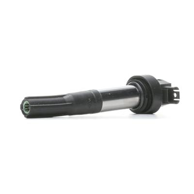 BERU bobine end coil zs386