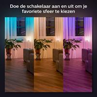 Philips Hue Wall Switch Module, 2, White Pack werkt met Alexa, Google Assistant en Apple HomeKit - thumbnail