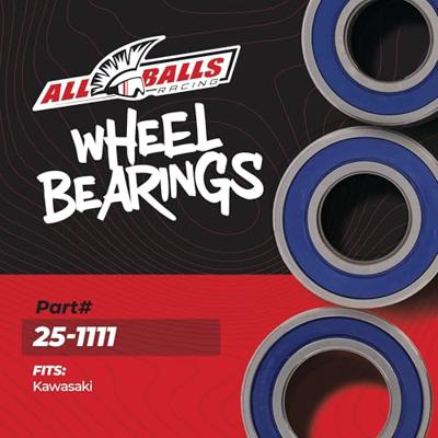 ALL BALLS Racing wiellagerset wheel bearing sets 25-111 complete with simmerrings