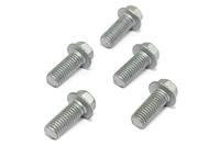 TRW bouten set screw set 5pcs. m8x1,25 - thumbnail