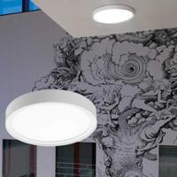 SG rond armatuur Disc 290 wit 2700k 17W 1890 lumen dimbaar 288mm doorsnede - thumbnail