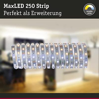 Paulmann 79863 LED-strip Met connector (male) 24 V 5 m Warmwit 5 m