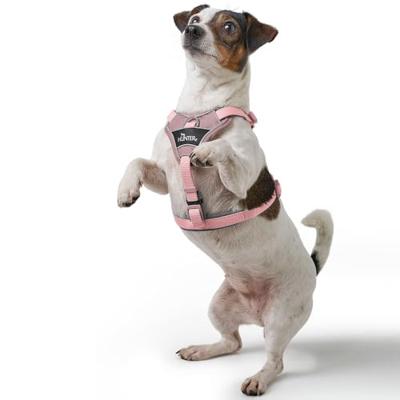 Hondentuigje Hunter DIVO UP Beige M