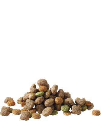 Happy Life Adult Mini met lam hondenvoer 2 x 3 kg Happy Life Adult Mini met lam hondenvoer 2 x 3 kg